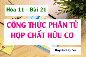 Cách lập công thức phân tử (CTPT) hợp chất hữu cơ và Bài tập vận dụng - Hóa 11 bài 21